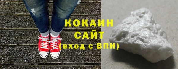 прущие грибы Абаза