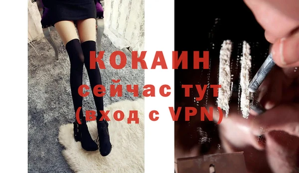 прущие грибы Абаза